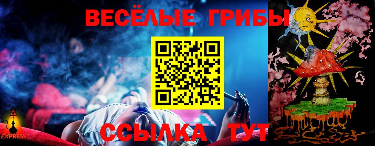 Галлюциногенные грибы Psilocybine cubensis  Вход с VPN  Нарьян-Мар 