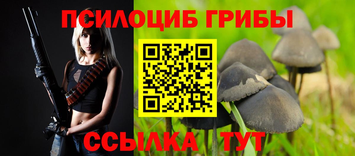 Псилоцибиновые грибы Psilocybine cubensis Нарьян-Мар