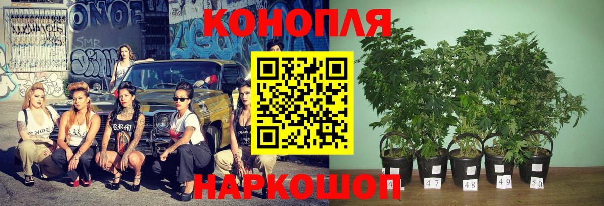 Каннабис VHQ  Бошки марихуана Bruce Banner  Вход с VPN  Каннабис конопля  Бошки марихуана марихуана  Нарьян-Мар 